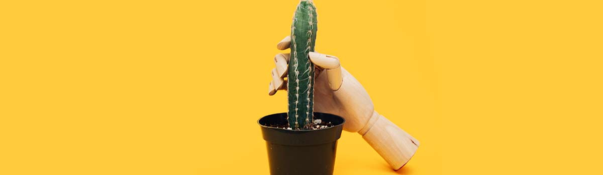 Australia e il porno