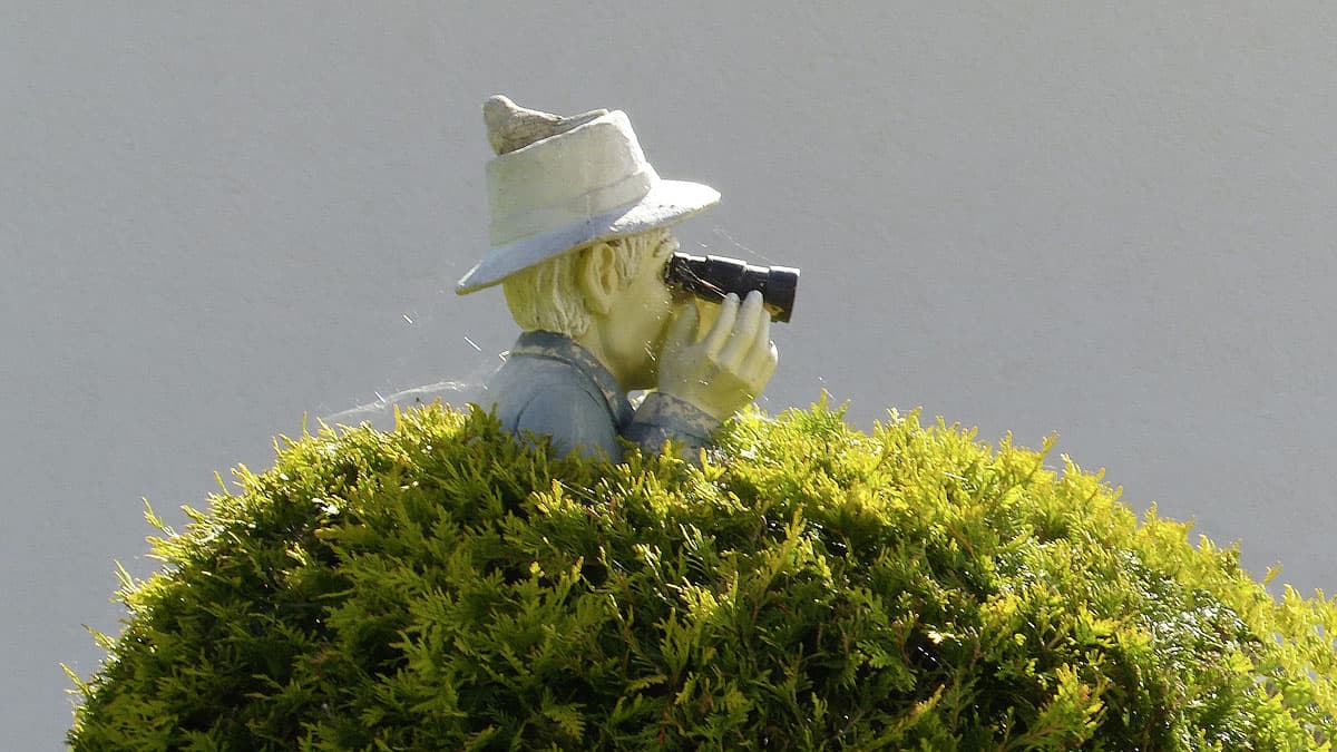 Cosa conoscono di noi le grandi aziende