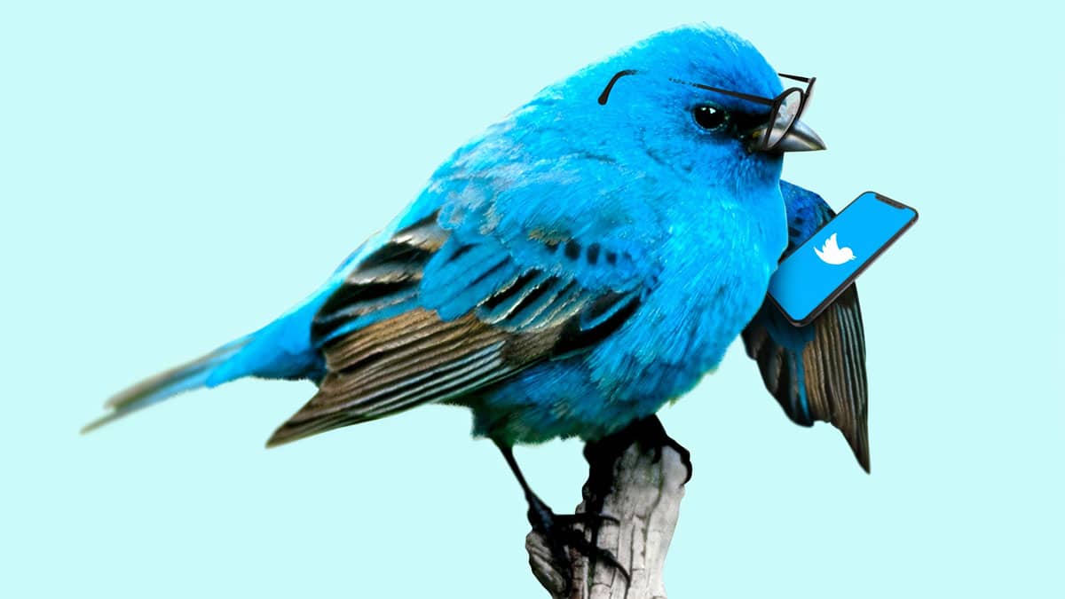 L’attacco informatico contro Twitter