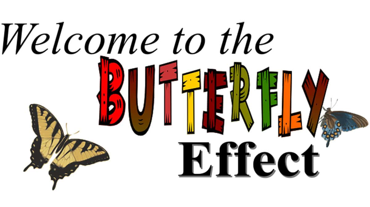 The Butterfly Effect