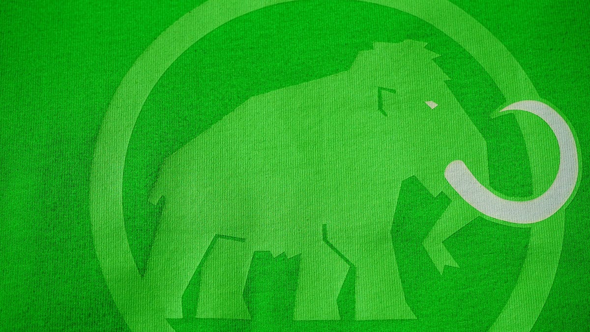 Cos’è e come funziona Mastodon?