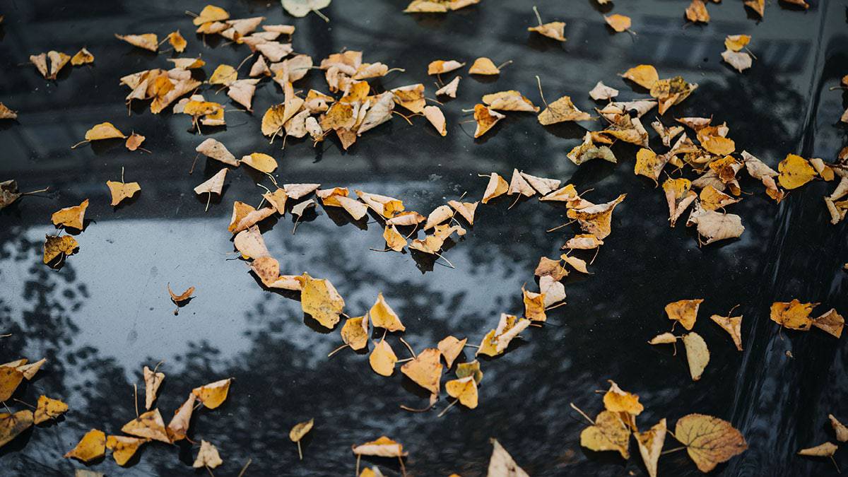 Perdere tempo online: sesta parte