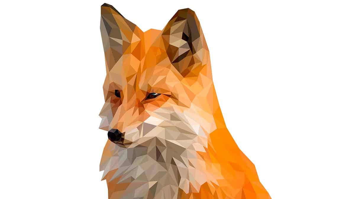 Come configurare Firefox per maggiore privacy