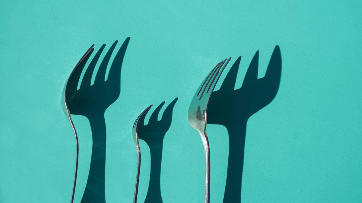 Ma quanti Firefox esistono?