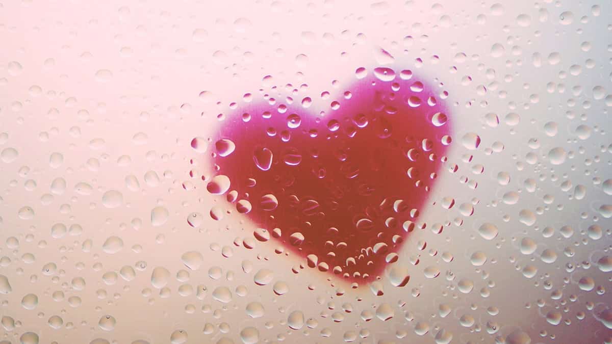 Perdere tempo online: tredicesima parte