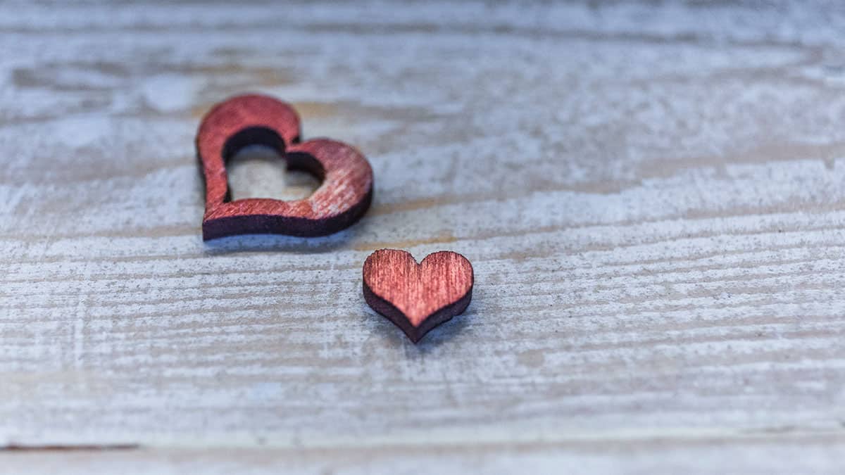 Perdere tempo online: quattordicesima parte