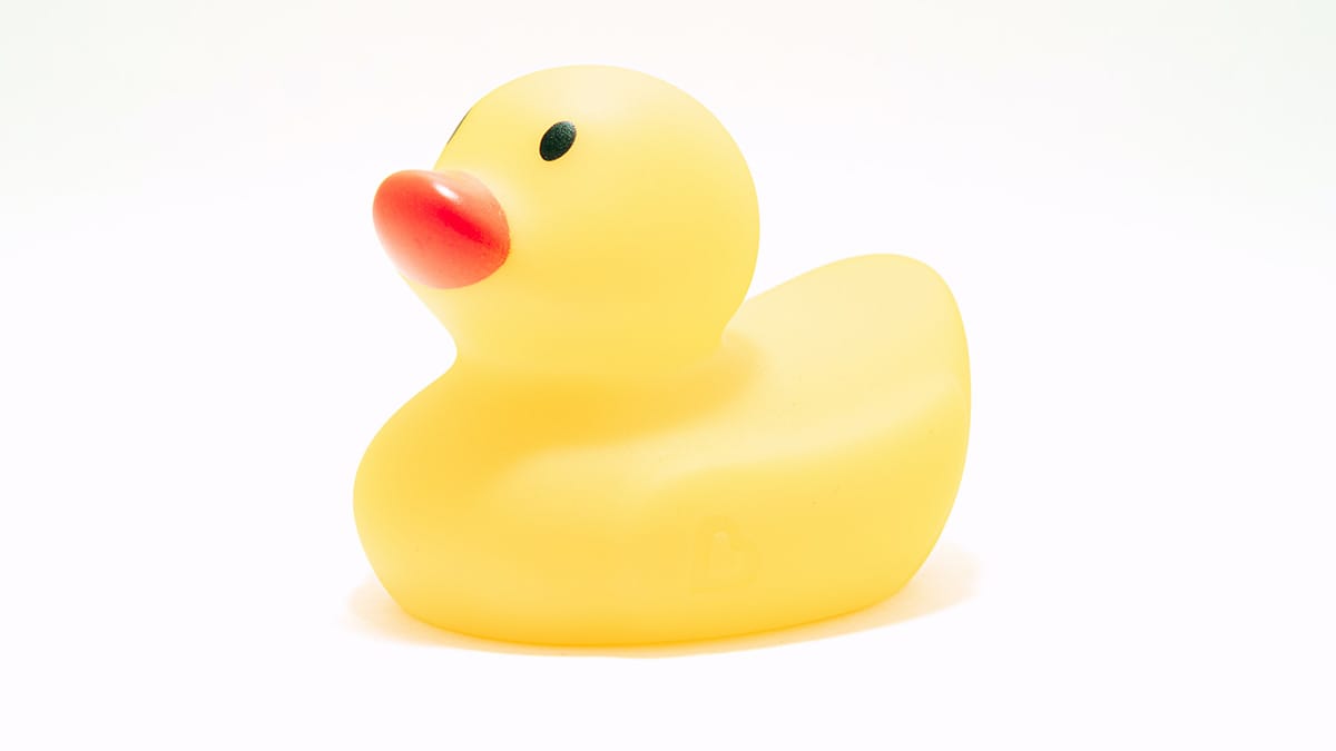 Squawker, come usare X (Twitter) senza esserne iscritti