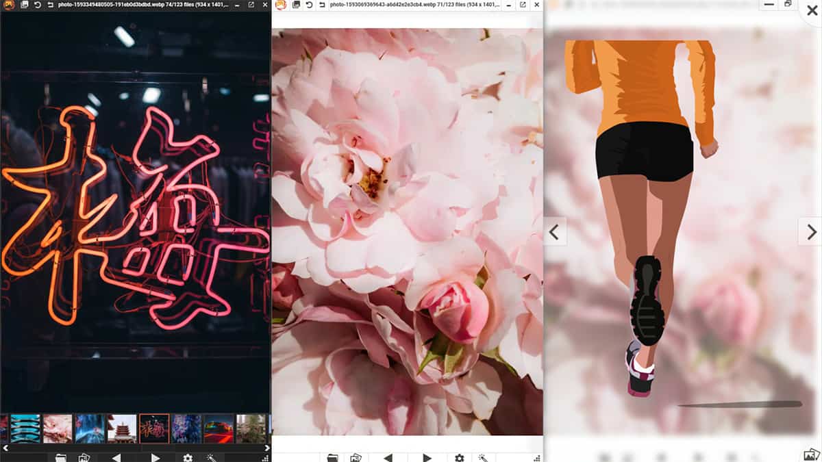 PicView, visualizzatore open source di immagini per Windows