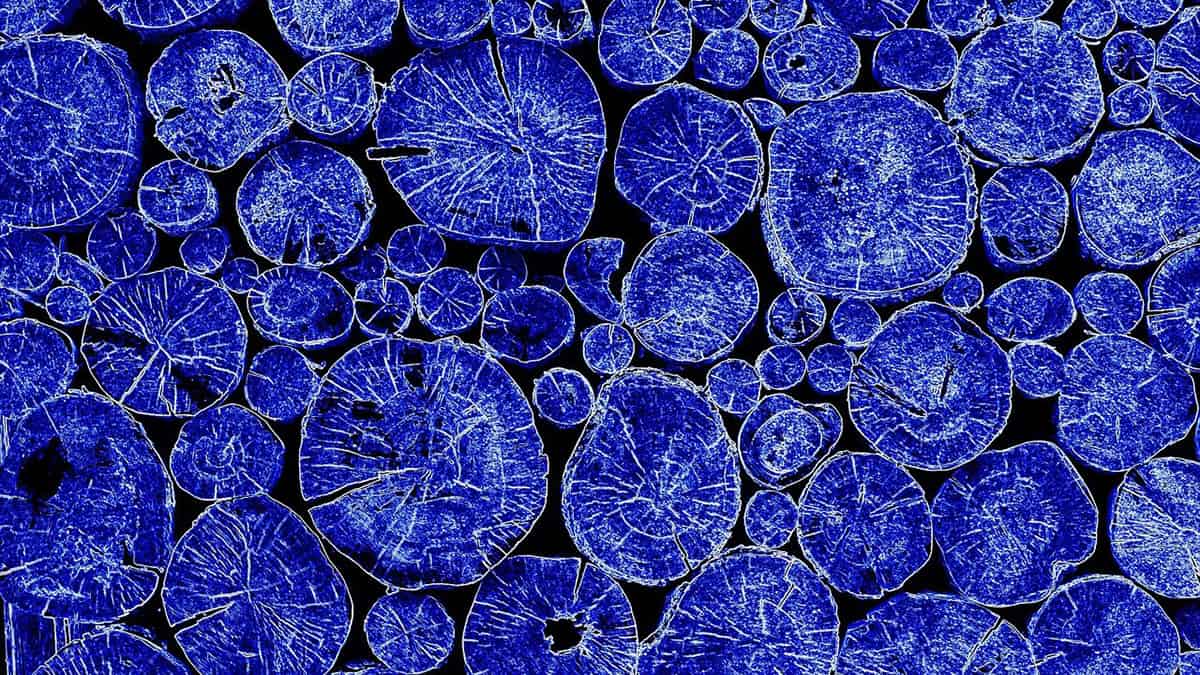 Cobalt, scarica immagini e GIF da qualsiasi social