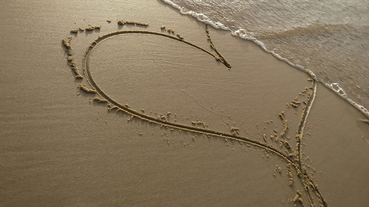 Perdere tempo online: diciassettesima parte