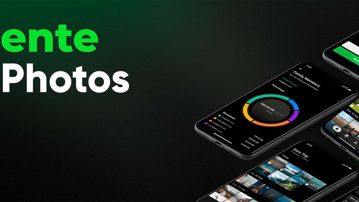 Da oggi è possibile scegliere un “erede” su Ente Photos