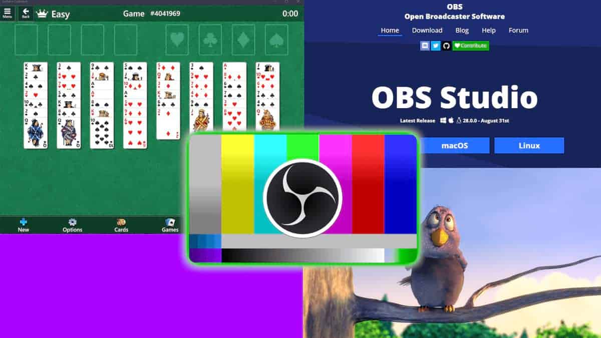 OBS Studio 31.0 introduce alcune nuove funzionalità