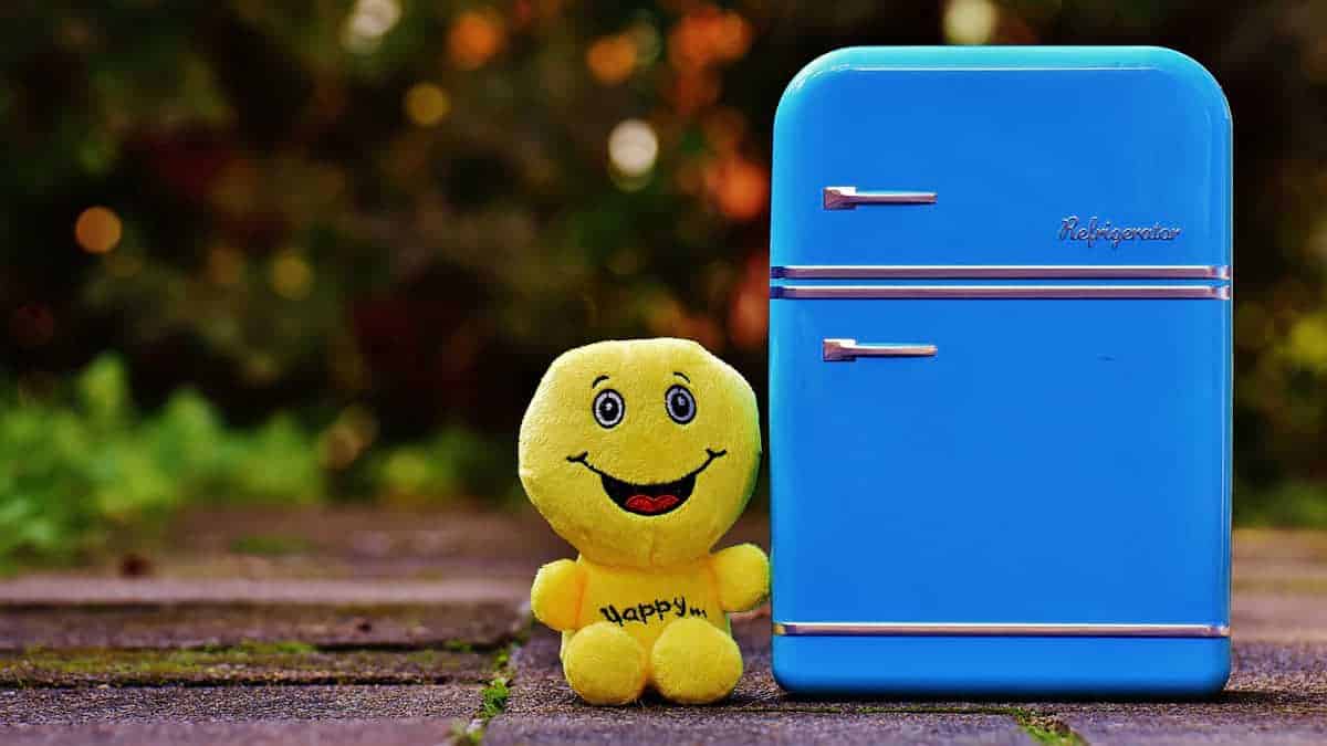 Fridgey: un’applicazione per la gestione degli ingredienti in cucina