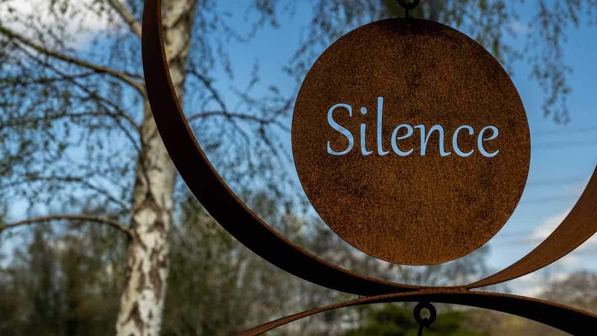 Ad-silence, silenzia gli annunci su Spotify (e non solo)