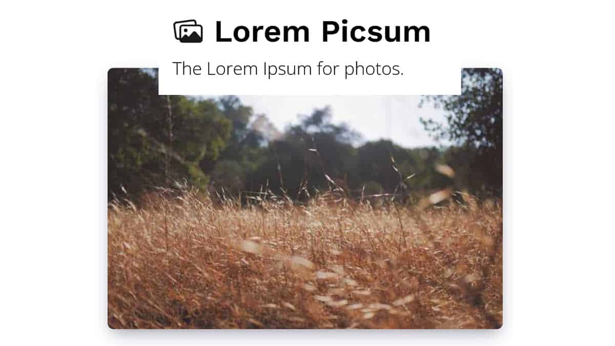 Lorem Picsum: il servizio open source per immagini di riempimento