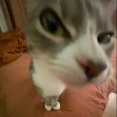 Ste